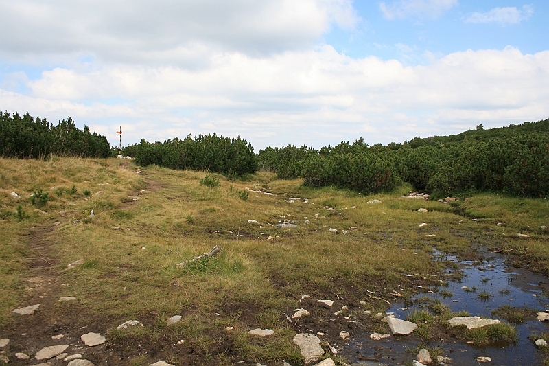 Bulgaria 2008 528